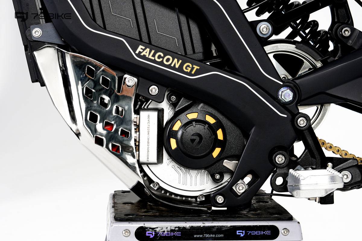 79Bike Falcon GT Elektro-Motorrad – Ansicht 7