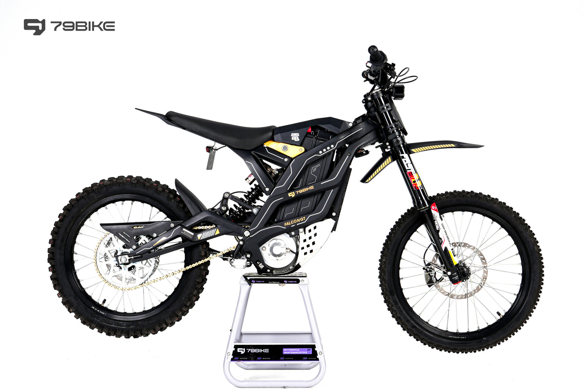 79Bike Falcon GT Elektro-Motorrad – Ansicht 8