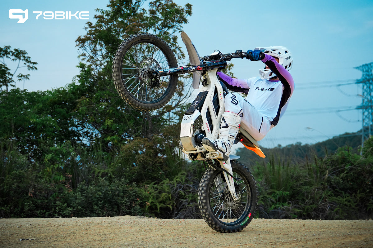 79Bike Falcon GT Elektro-Motorrad – Ansicht 9