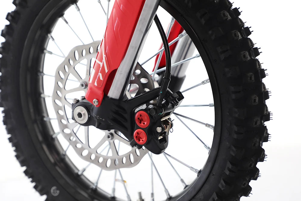 RFN Warrior SX-E8 Elektro-Jugendmotorrad – Detailansicht 5