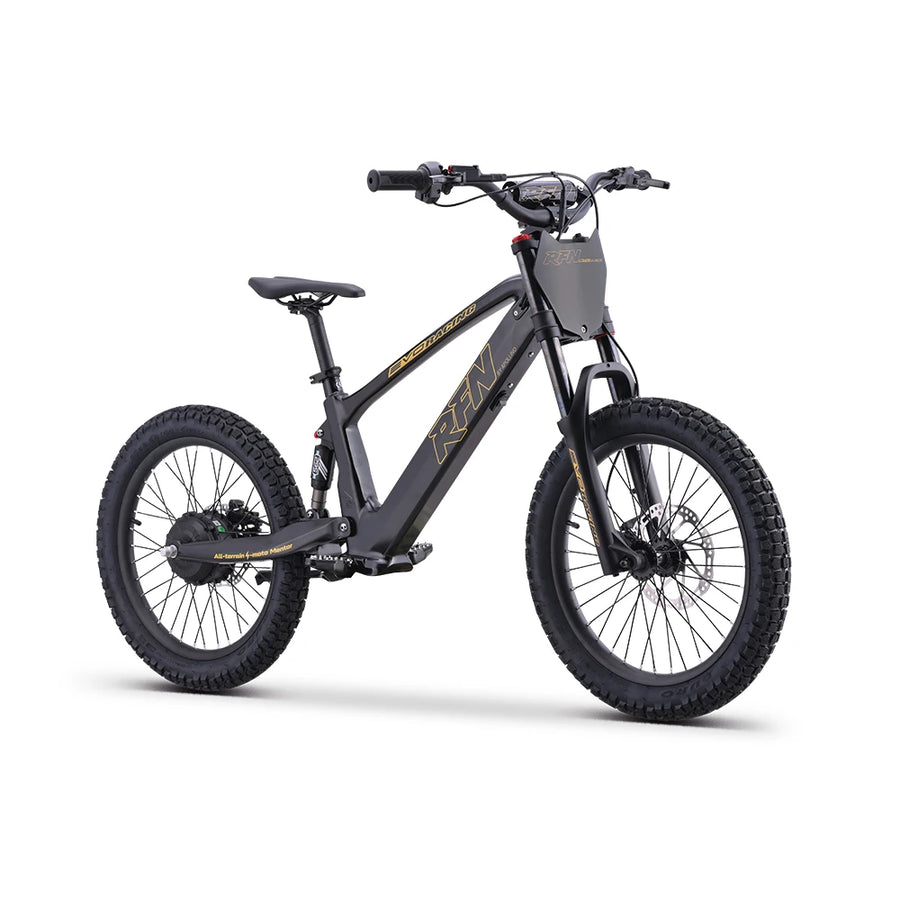 RFN EVO Racing 20 Elektro-Laufrad in Schwarz 1