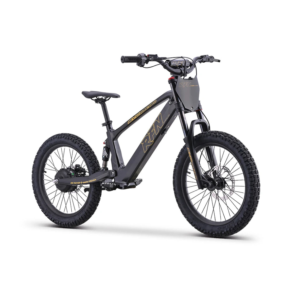 RFN Laufrad EVO Racing 20