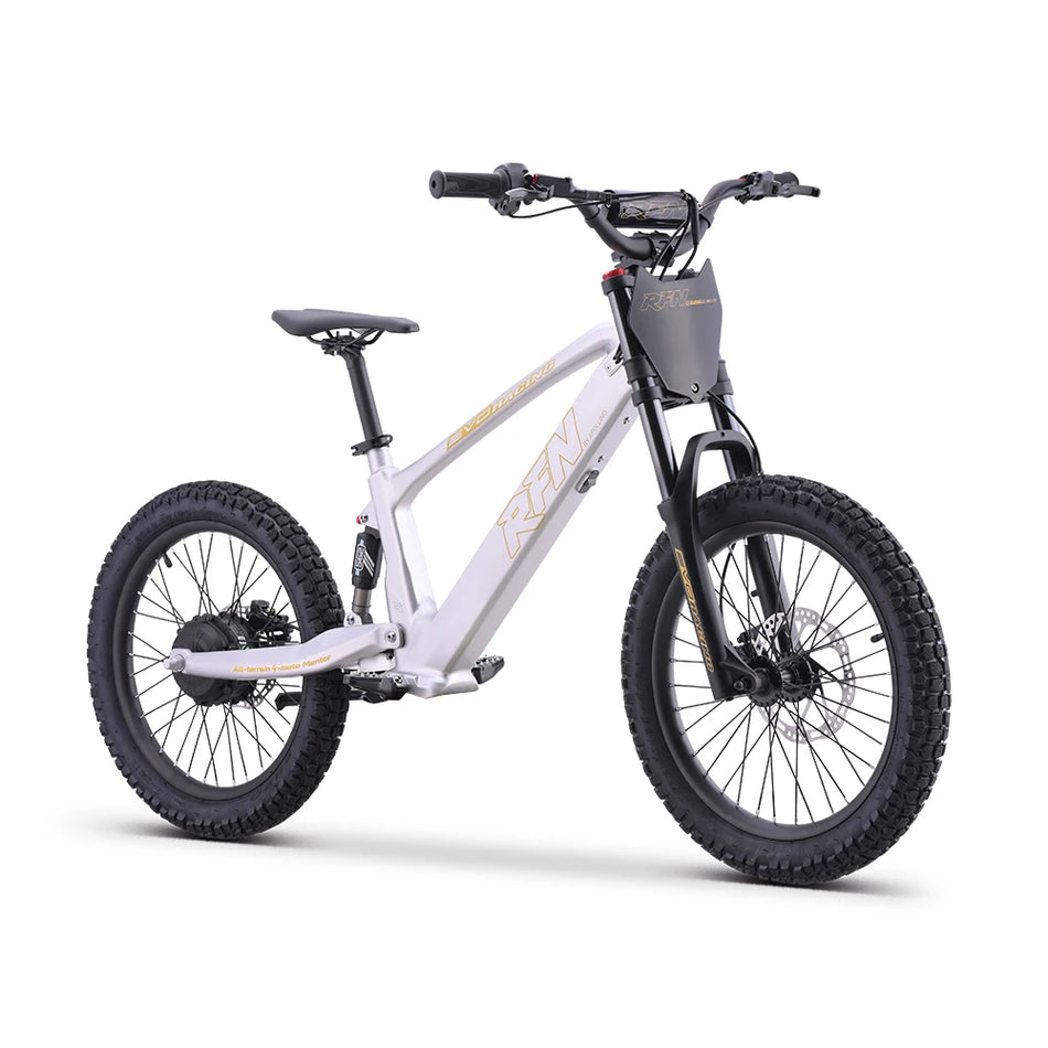 RFN Laufrad EVO Racing 20