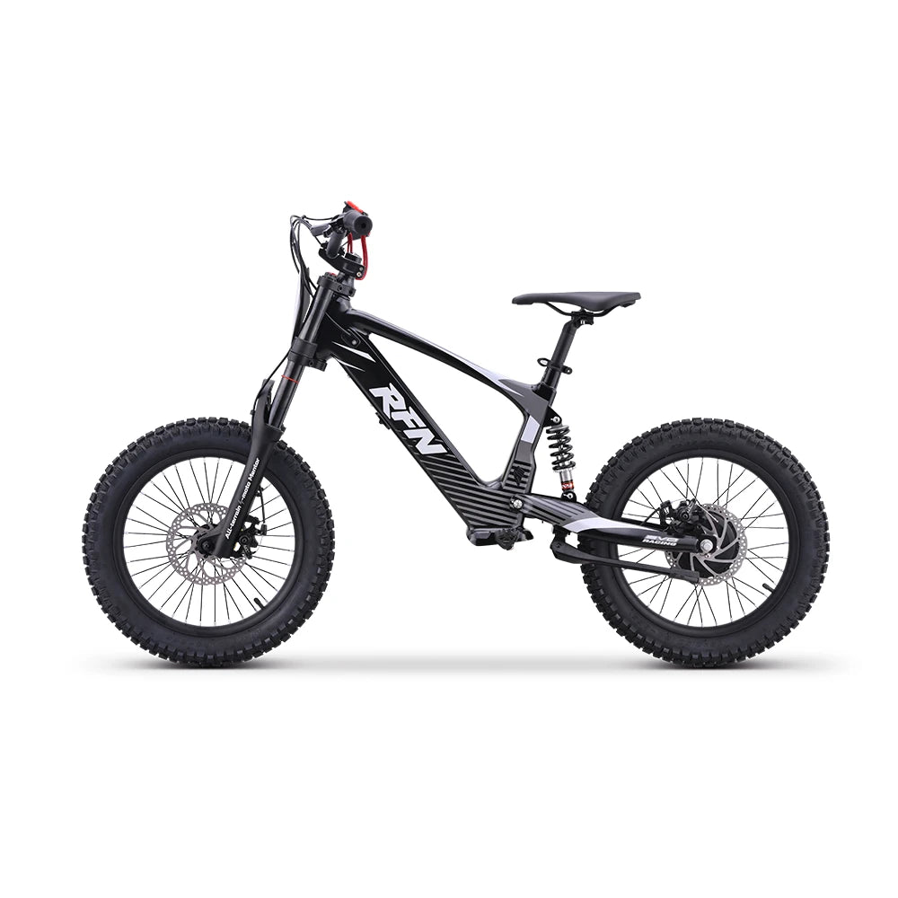 RFN EVO 18 Elektro-Laufrad – Ansicht 3
