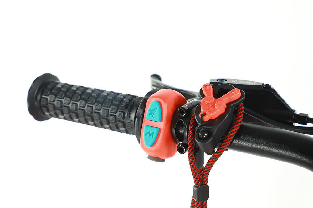 RFN Rally Pro Elektro-Motorrad – Detailansicht 14