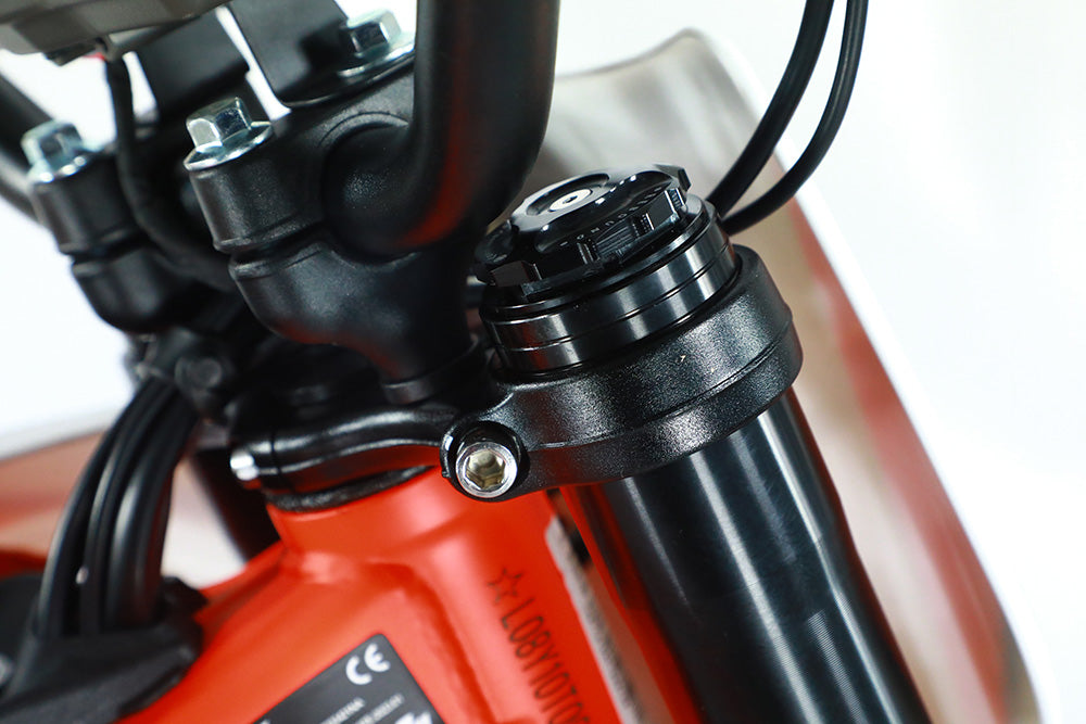 RFN Rally Pro Elektro-Motorrad – Detailansicht 19